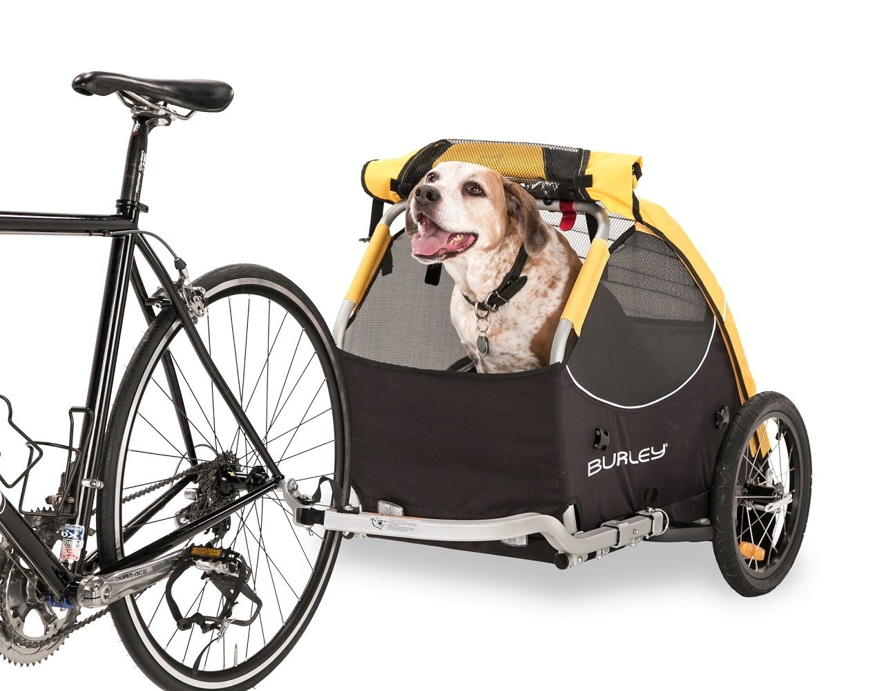 Burley Tail Wagon Pet Bike Trailer Stroller