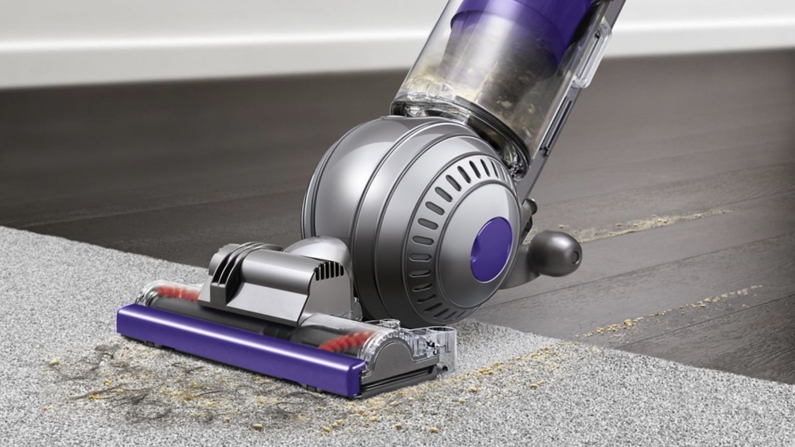 Dyson Ball Animal 2 pet vacuum