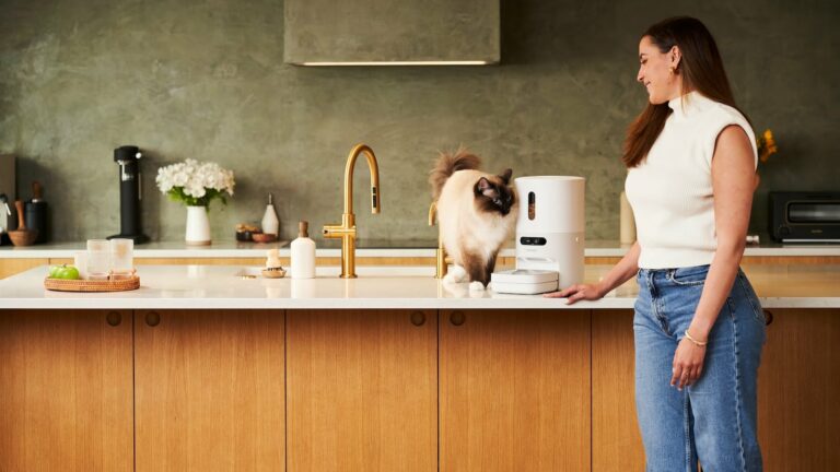 Smart Pet Feeder: Smart Pet Feeder with Scale and Notifications by Pawsync on Gadget Flow