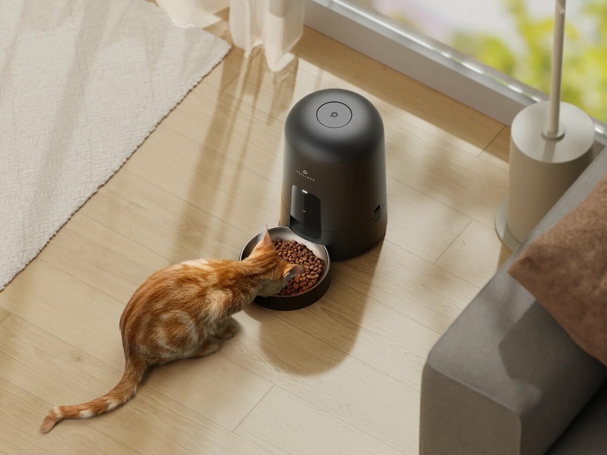 Petlibro Air smart pet feeders offer scheduled feeding times, keeping your pet healthy