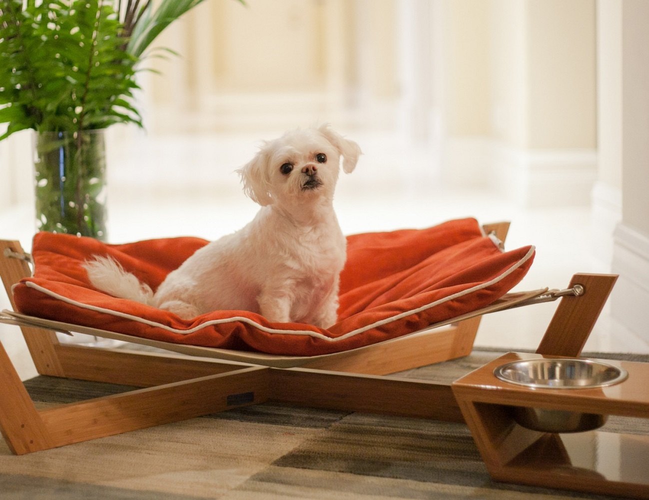 Pet Lounge Studios Bambu Hammock